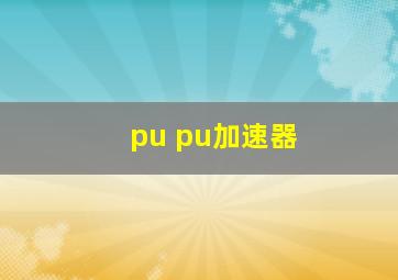 pu pu加速器